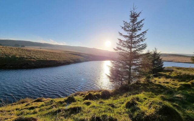 Forester's Retreat Glamping - Cambrian Mountains