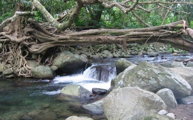 Citrus Creek Plantation