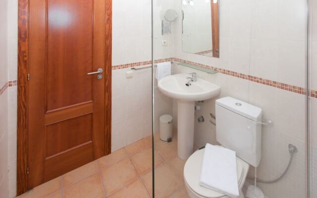 Anahi Home Dracaena 4