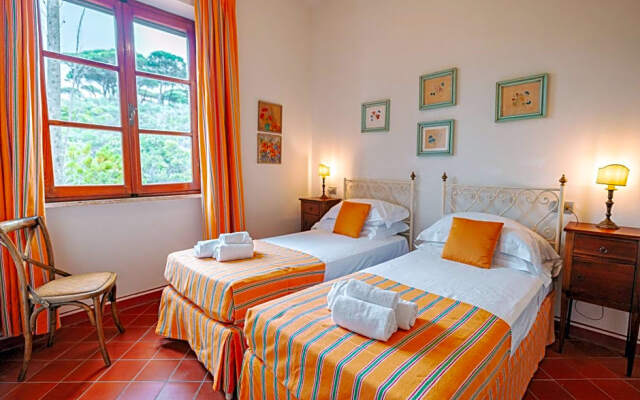 Tenuta Delle Ripalte