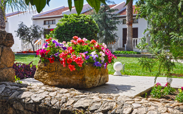Almond Holiday Village