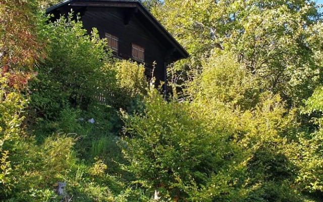 Henri Mol Son-sur-gruy res