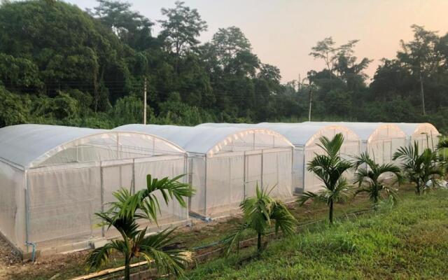 Ing Chan Farm /ไร่อิงจันทร์