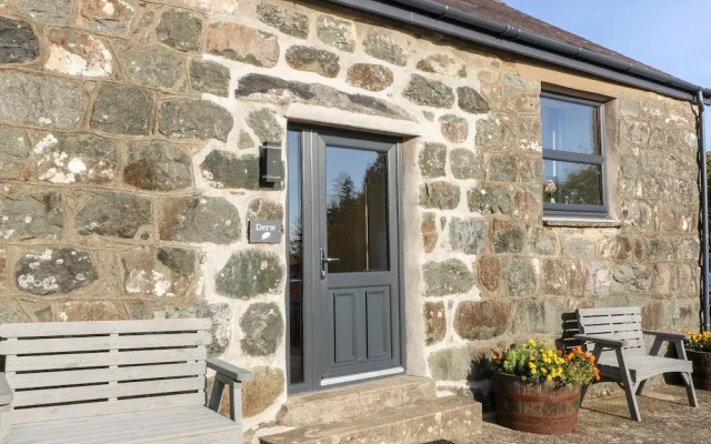 Tyddyn Sianel - Derw