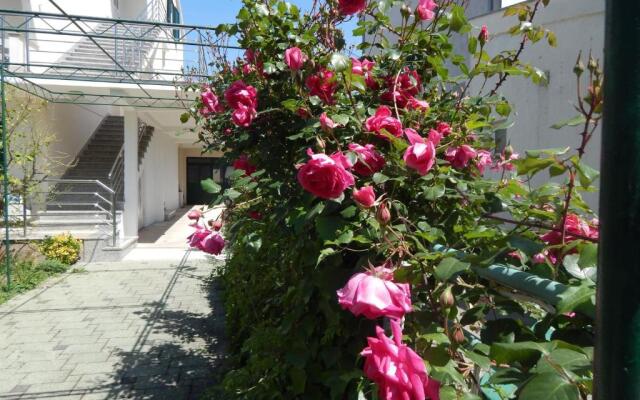 Lemon Tree Apartments