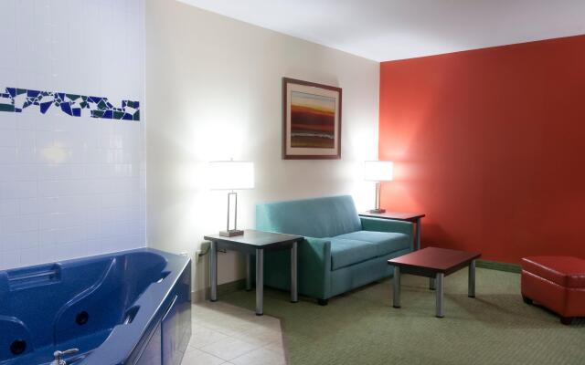 Holiday Inn Express Hotel & Suites Brownsville by IHG