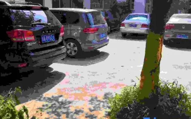 Ya'an No.1 Jingshan Villa