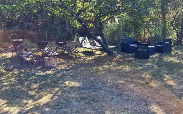 Grand Mobile home dans camping