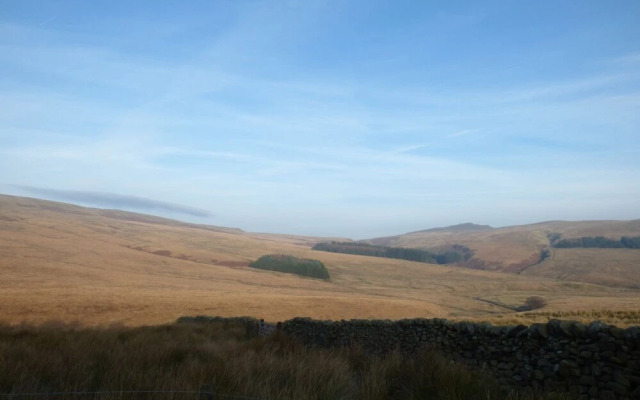 Low Orchard House