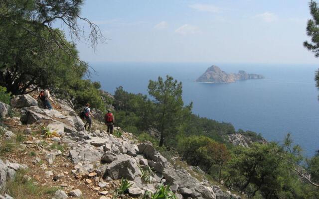 Olympos Tanrılar Kulübü