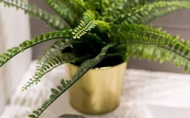 Spacious 2 Bedroom Condo in Little Italy