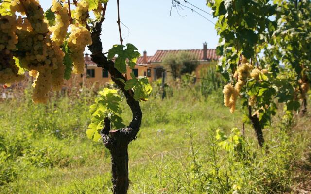 Resort La Ghiaia - Guest House