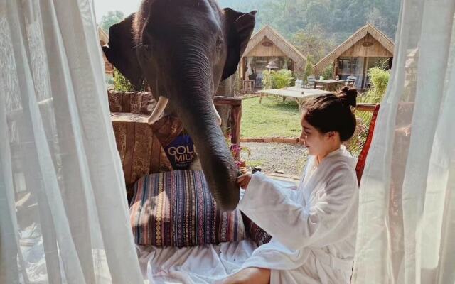 3pok resort Maewang jinxing