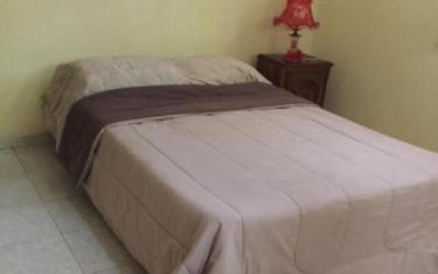 Palm Guest House