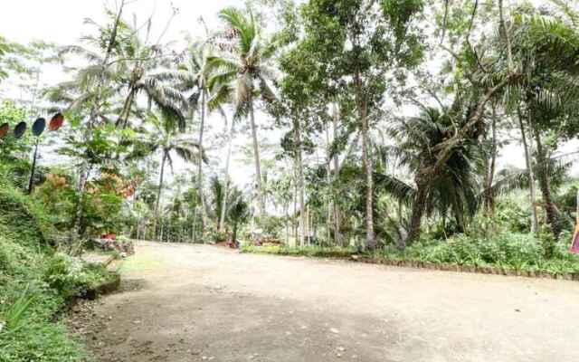 Segajih Central Stay and Education