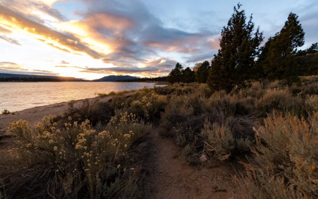 LA Suegra's Cabaña #2314