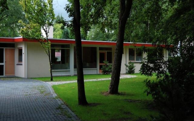 Cozy decorated house with fireplace, surrounded by forest