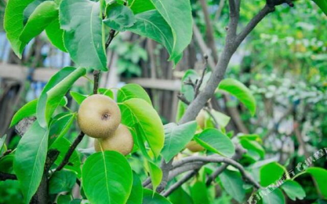 Housheng Youth Hostel