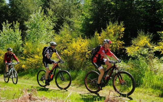Trail-Inn Natur & Sporthotel