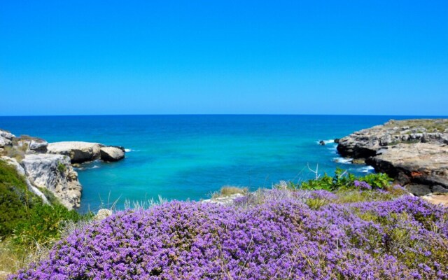 Nice Home in Martina Franca With 1 Bedrooms