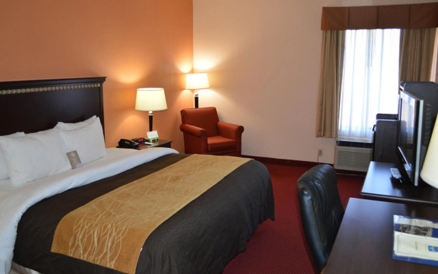 Comfort Inn & Suites Lincoln Talladega I-20