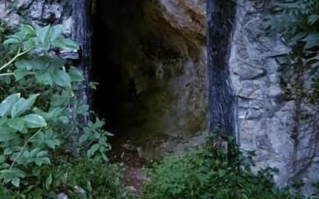Bosque de Cuevas