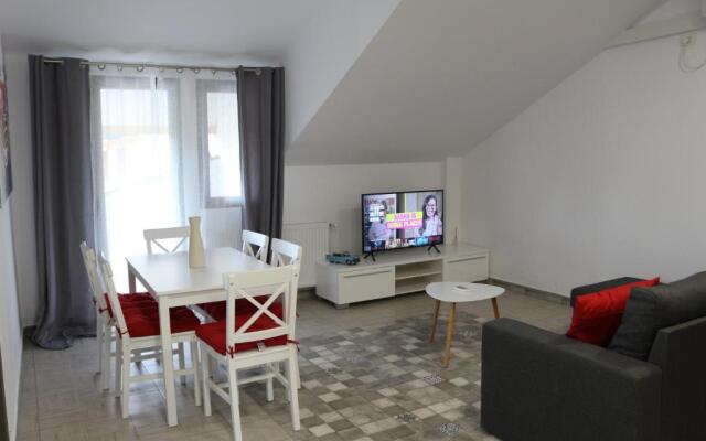 Timisoara City Apartments