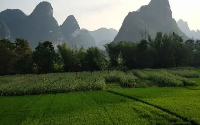 Daxin Mingshi Daoxiang Inn
