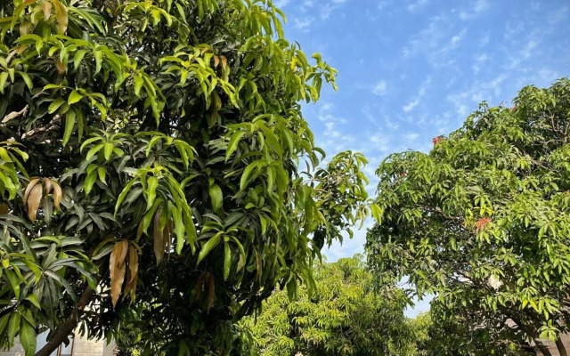 The Postcard Gir Wildlife Sanctuary