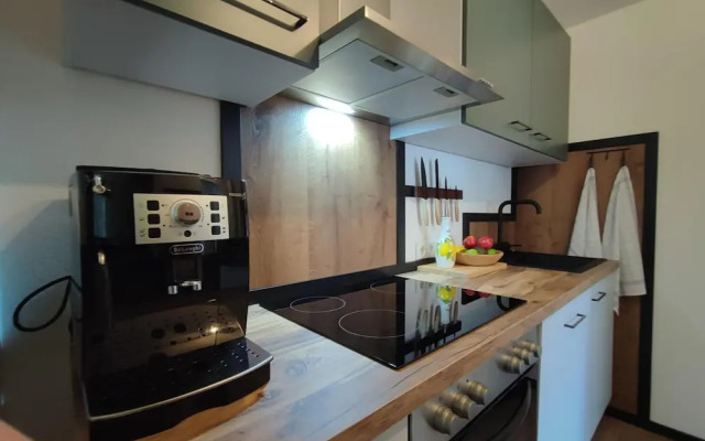 Great Apartment Near the ski Area