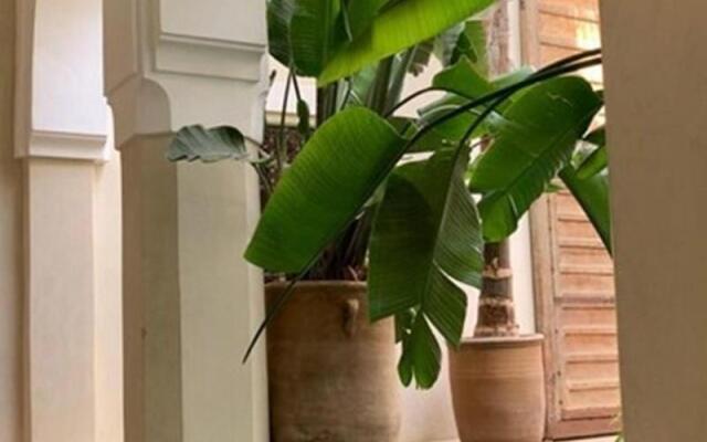 Riad Palacio de las Especias