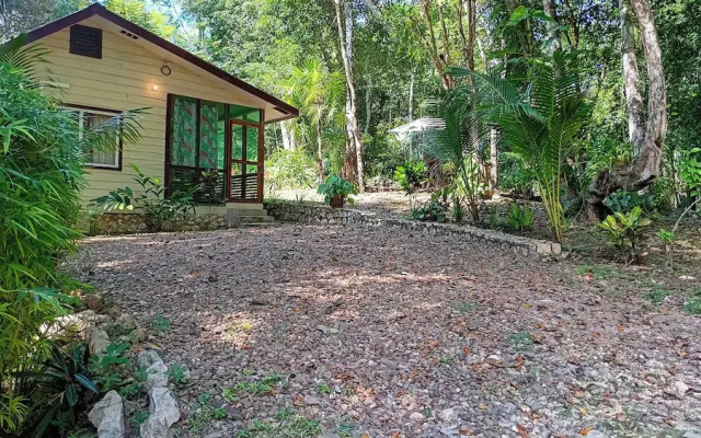 The Cabins at Monkey Fall