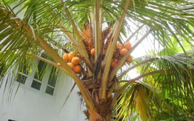 Pulari Gardens Varkala