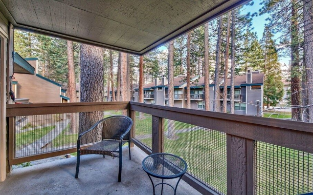 513 Pine Grove
