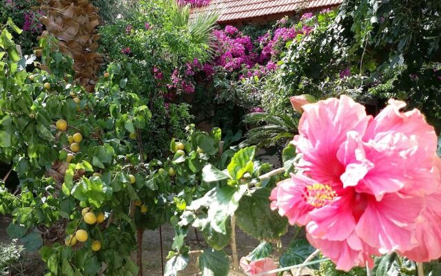 "beautiful Cottage in S. West Crete Near the Sea"