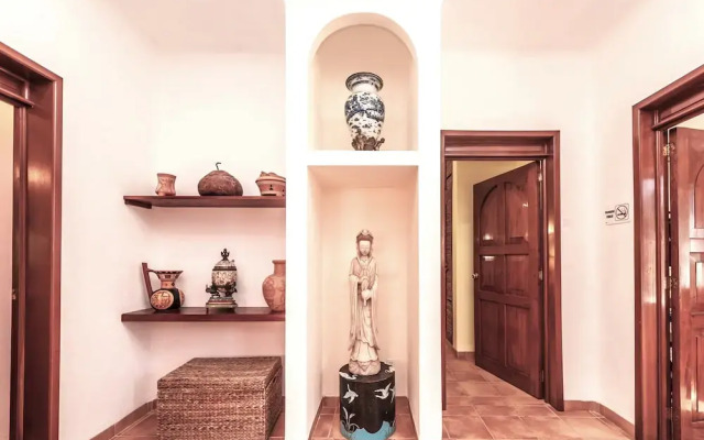Casa Gatos