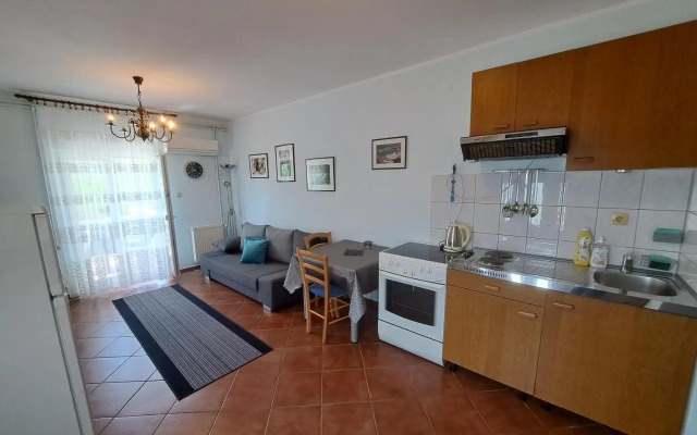 Apartment Leo
