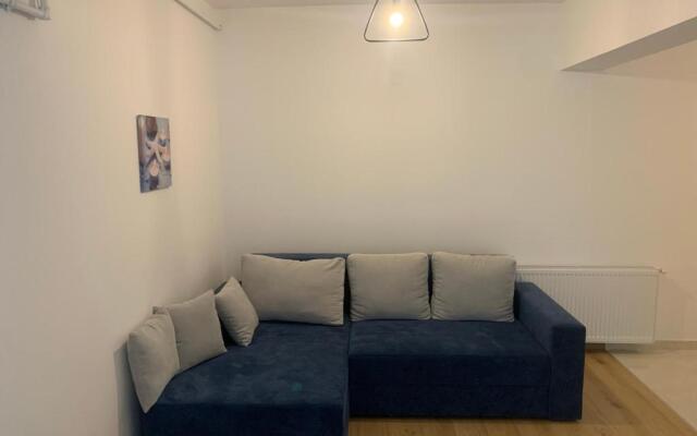 Ioana Home