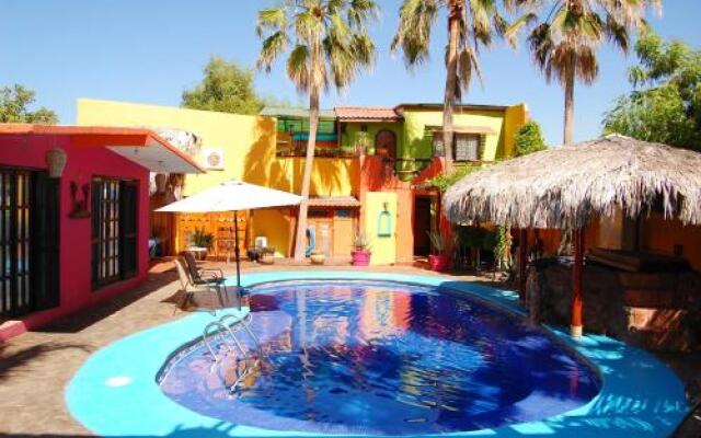Leo's Baja Oasis