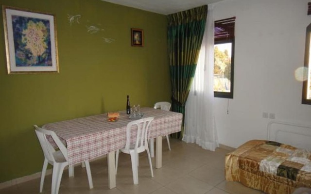 Zimmer Lemon Tree