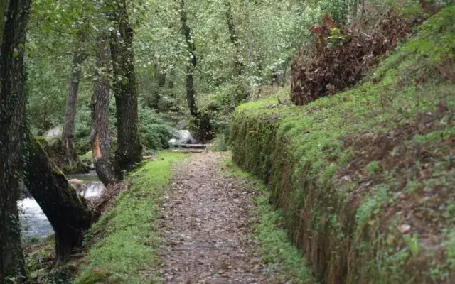 Casa rural El Olivar del Duque