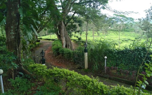 Standard Double Room-wayanad