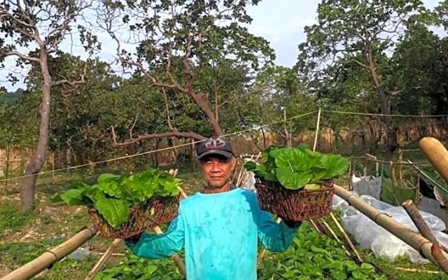 Balili Farm at Nacpan El Nido