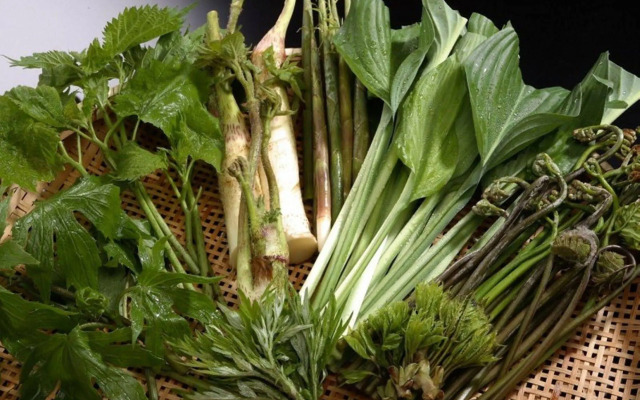 Ryokan Tairyukaku Iwate Yumoto Onsen