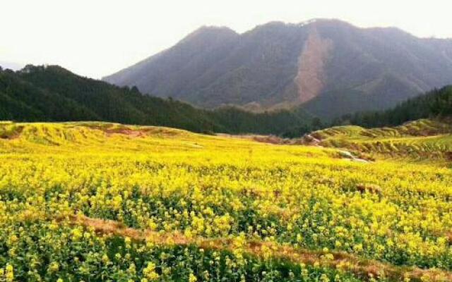 Lianshan Ojia Terrace Farmstay No. 15