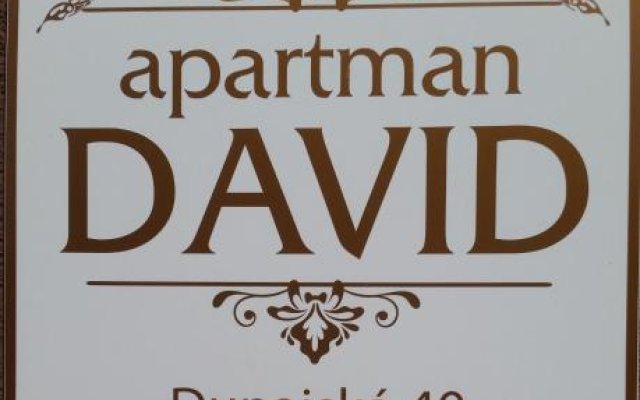Dávid Apartment