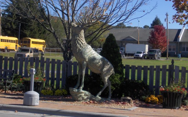 Best Western Mountain Lodge at Banner Elk