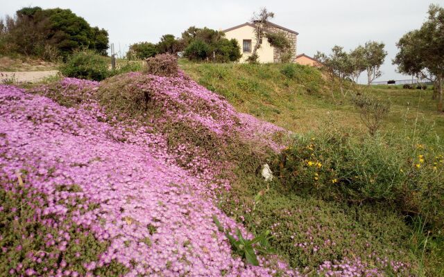 Tenuta Petra Bianca