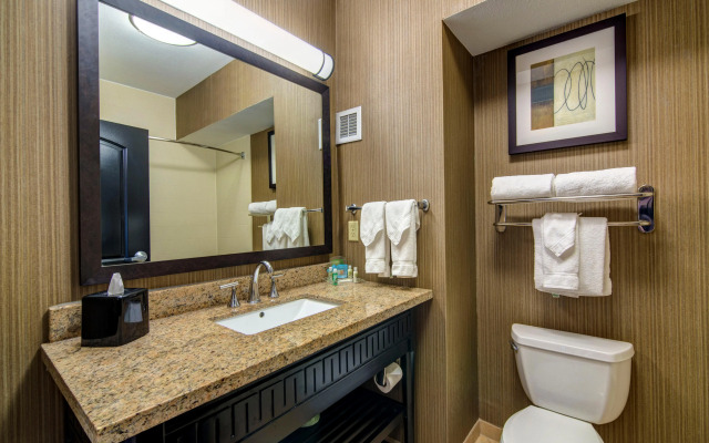 Holiday Inn Arlington NE-Rangers Ballpark by IHG