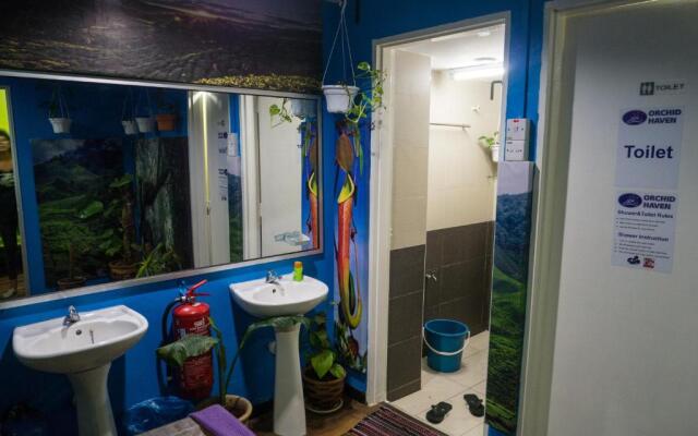 Traveller Bunker Hostel 1
